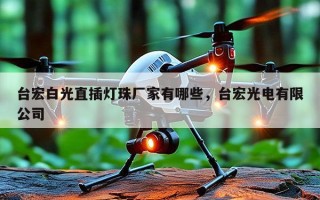 台宏白光直插灯珠厂家有哪些，台宏光电有限公司