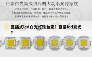 直插式led白光灯珠台宏？直插led发光？