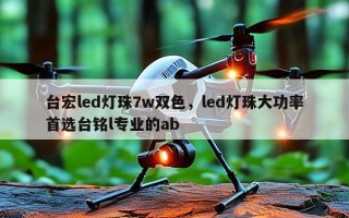 台宏led灯珠7w双色，led灯珠大功率首选台铭l专业的ab