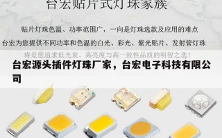 台宏源头插件灯珠厂家，台宏电子科技有限公司