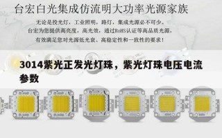 3014紫光正发光灯珠，紫光灯珠电压电流参数