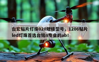 台宏贴片灯珠020规格型号，1206贴片led灯珠首选台铭n专业的ab！