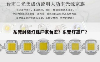 东莞封装灯珠厂家台宏？东莞灯罩厂？