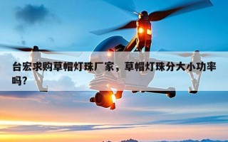台宏求购草帽灯珠厂家，草帽灯珠分大小功率吗?