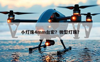 小灯珠4mm台宏？微型灯珠？