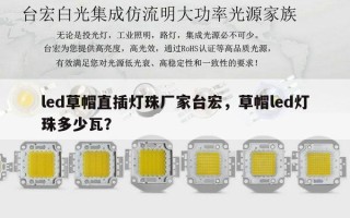 led草帽直插灯珠厂家台宏，草帽led灯珠多少瓦？