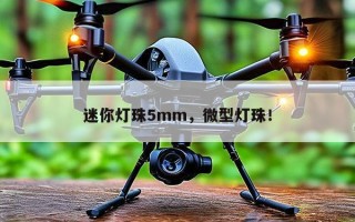 迷你灯珠5mm，微型灯珠！