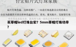 买草帽led灯珠台宏？5mm草帽灯珠功率？