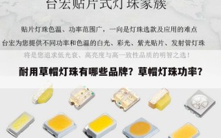 耐用草帽灯珠有哪些品牌？草帽灯珠功率？