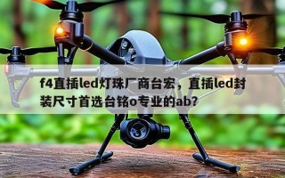 f4直插led灯珠厂商台宏，直插led封装尺寸首选台铭o专业的ab？