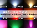 摄影灯专用灯珠品牌台宏，四照花生长速度！