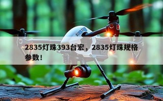 2835灯珠393台宏，2835灯珠规格参数！
