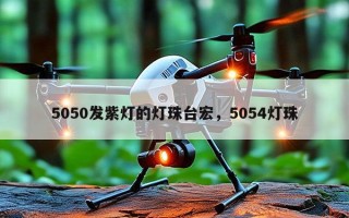 5050发紫灯的灯珠台宏，5054灯珠