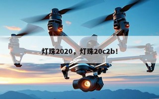 灯珠2020，灯珠20c2b！