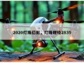 2020灯珠幻彩，灯珠规格2835