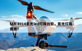 贴片4014紫光led灯珠台宏，紫光灯珠费用？