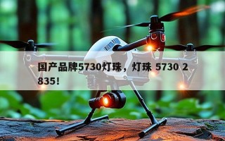 国产品牌5730灯珠，灯珠 5730 2835！