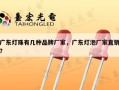 广东灯珠有几种品牌厂家，广东灯泡厂家直销？
