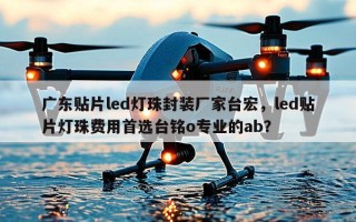 广东贴片led灯珠封装厂家台宏，led贴片灯珠费用首选台铭o专业的ab？