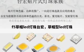 f5草帽led灯珠台宏，草帽型led灯珠