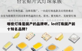 哪些灯珠是国产的品牌啊，led灯珠国产前十知名品牌？