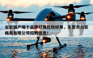 台宏国产哪个品牌灯珠比较好用，东莞市台宏模具有限公司招聘信息！