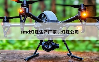 smd灯珠生产厂家，灯珠公司