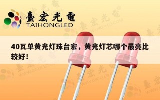 40瓦单黄光灯珠台宏，黄光灯芯哪个最亮比较好！