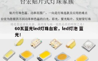 60瓦蓝光led灯珠台宏，led灯泡 蓝光！
