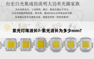 紫光灯珠波长？紫光波长为多少mm？