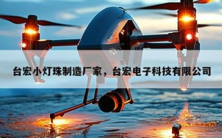台宏小灯珠制造厂家，台宏电子科技有限公司