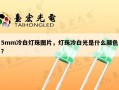 5mm冷白灯珠图片，灯珠冷白光是什么颜色？