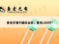 紫光灯珠f5圆头台宏，紫光LED灯？
