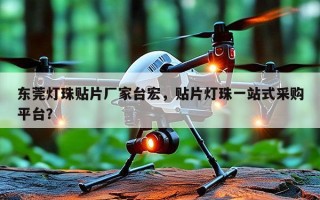 东莞灯珠贴片厂家台宏，贴片灯珠一站式采购平台？