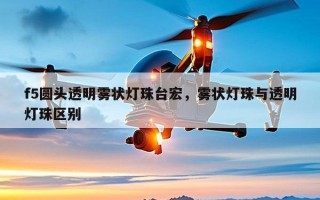 f5圆头透明雾状灯珠台宏，雾状灯珠与透明灯珠区别