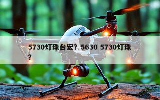 5730灯珠台宏？5630 5730灯珠？