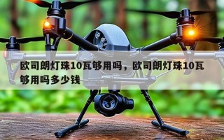 欧司朗灯珠10瓦够用吗，欧司朗灯珠10瓦够用吗多少钱