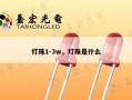 灯珠1-3w，灯珠是什么