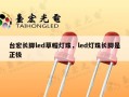 台宏长脚led草帽灯珠，led灯珠长脚是正极