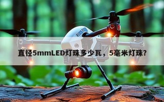 直径5mmLED灯珠多少瓦，5毫米灯珠？