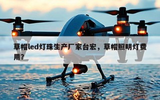 草帽led灯珠生产厂家台宏，草帽照明灯费用？