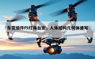 东莞插件f5灯珠台宏，人体结构几何体速写？