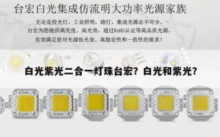 白光紫光二合一灯珠台宏？白光和紫光？