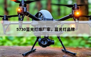 5730蓝光灯珠厂家，蓝光灯品牌