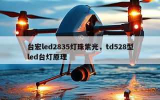 台宏led2835灯珠紫光，td528型led台灯原理