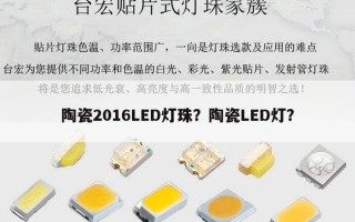 陶瓷2016LED灯珠？陶瓷LED灯？