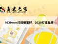 3030mm灯珠哪家好，2020灯珠品牌