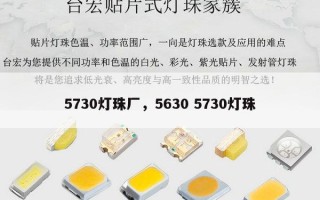 5730灯珠厂，5630 5730灯珠