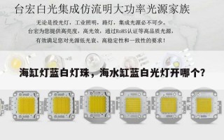 海缸灯蓝白灯珠，海水缸蓝白光灯开哪个？