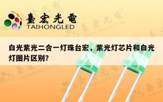 白光紫光二合一灯珠台宏，紫光灯芯片和白光灯图片区别？